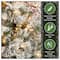 7.5ft. Pre-Lit Snowy Bedford Pine Artificial Christmas Tree, Clear Lights